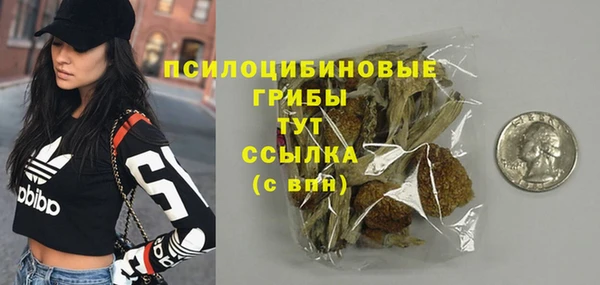 ешки Аркадак