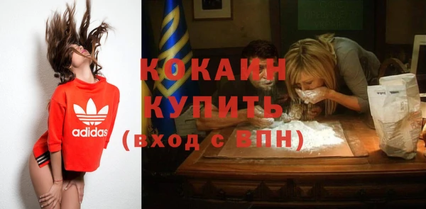 ешки Аркадак