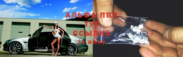 ешки Аркадак