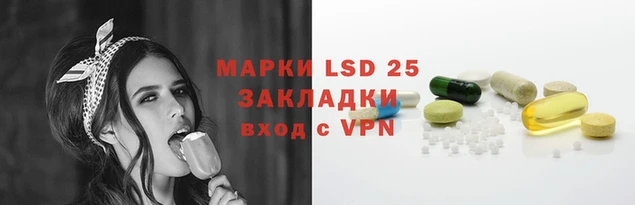 ешки Аркадак