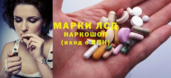 ешки Аркадак